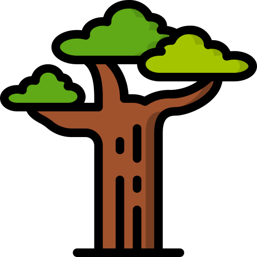 ORGANIC BAOBAB