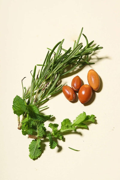 Rosemary Mint Revitalizing Shampoo