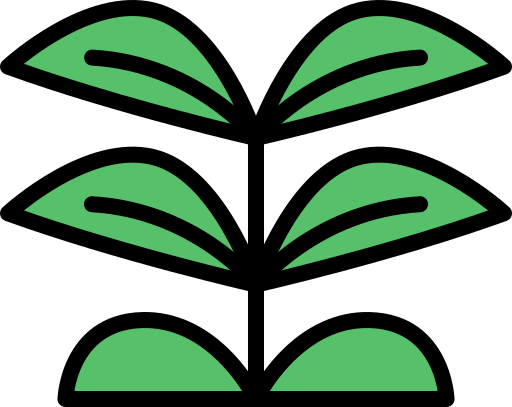 ORGANIC TEA TREE