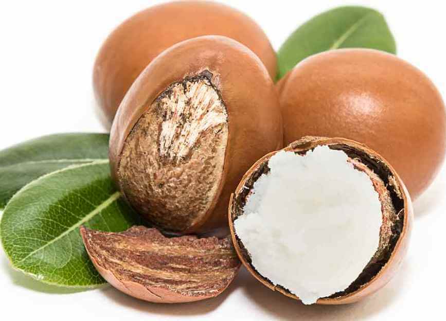 SHEA BUTTER