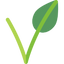 Vegan